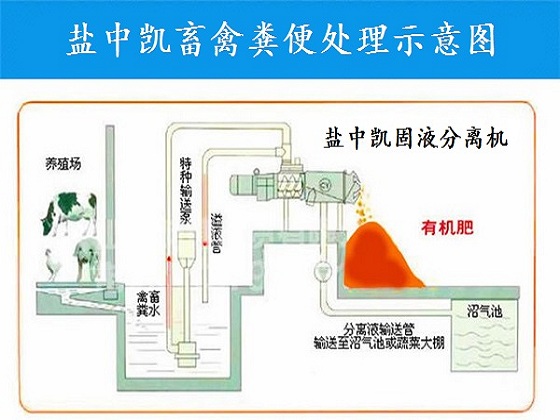 雞糞脫水機示意圖